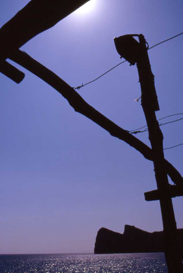 landscapes-022-Montalto-da-Marina-del-Cantone-1996