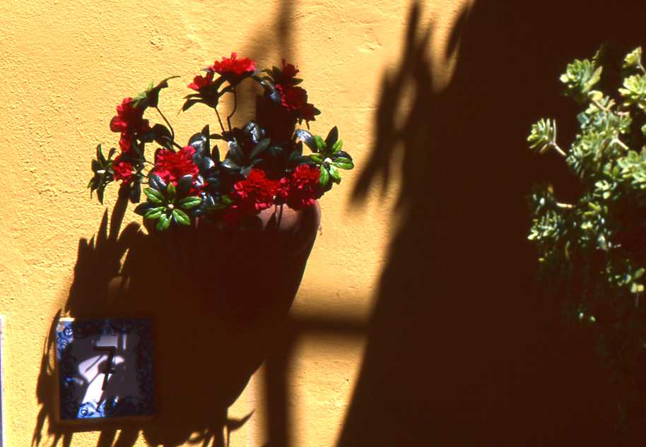 landscapes-083-Portofino-2008