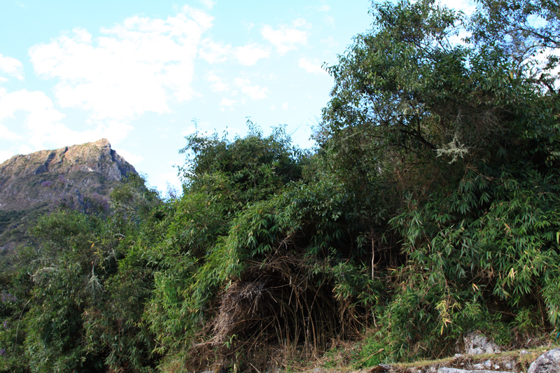 508-Machupicchu,11 luglio 2013