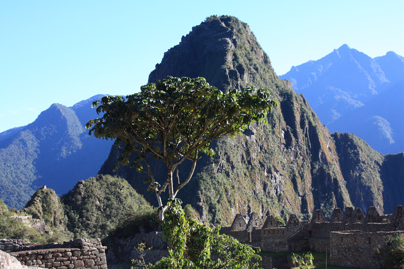 556-Machupicchu,11 luglio 2013