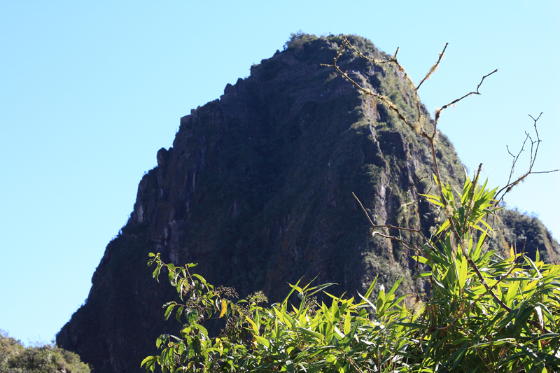 589-Machupicchu,11 luglio 2013