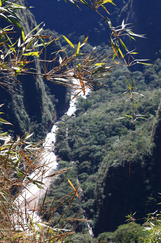 590-Machupicchu,11 luglio 2013