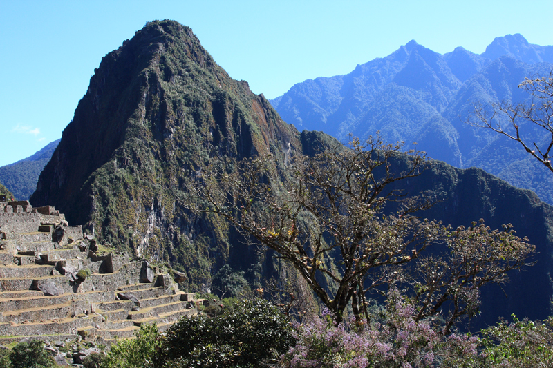 611-Machupicchu,11 luglio 2013