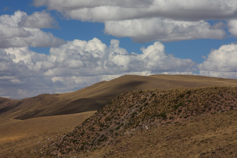 854-Lagunillas,14 luglio 2013