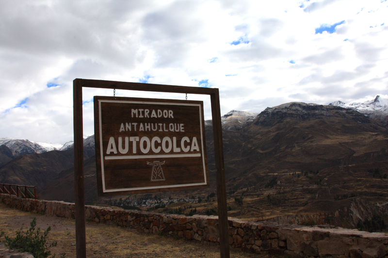 899-Canyon del Colca,15 luglio 2013