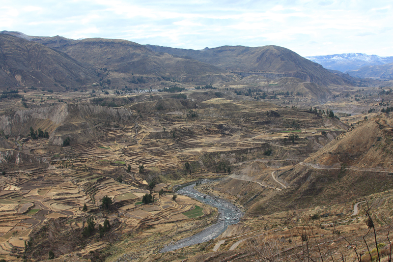 900-Canyon del Colca,15 luglio 2013