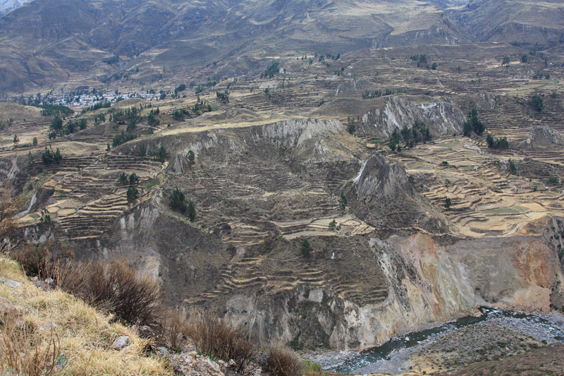 901-Canyon del Colca,15 luglio 2013