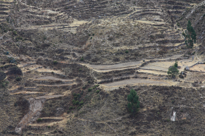 902-Canyon del Colca,15 luglio 2013