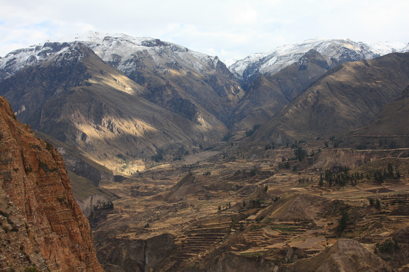 906-Canyon del Colca,15 luglio 2013