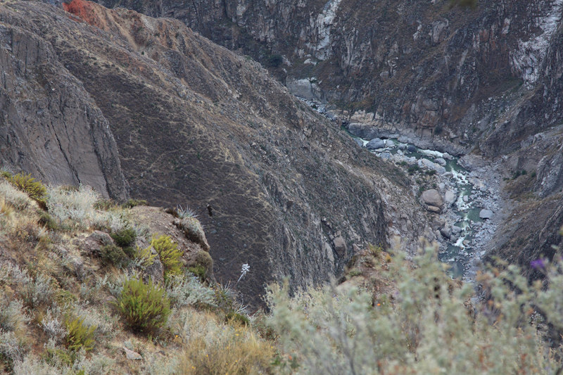 913-Cruz del condor,15 luglio 2013