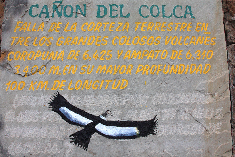 929-Cruz del condor,15 luglio 2013