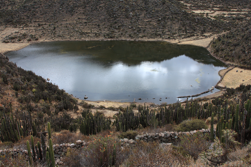 932-Canyon del Colca,15 luglio 2013