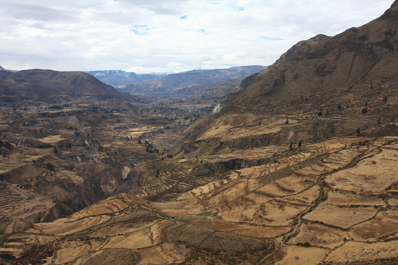 935-Canyon del Colca,15 luglio 2013