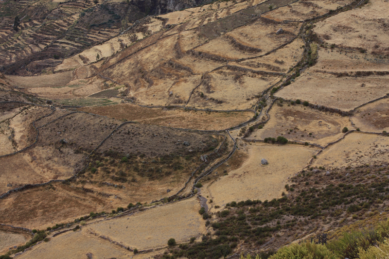 936-Canyon del Colca,15 luglio 2013