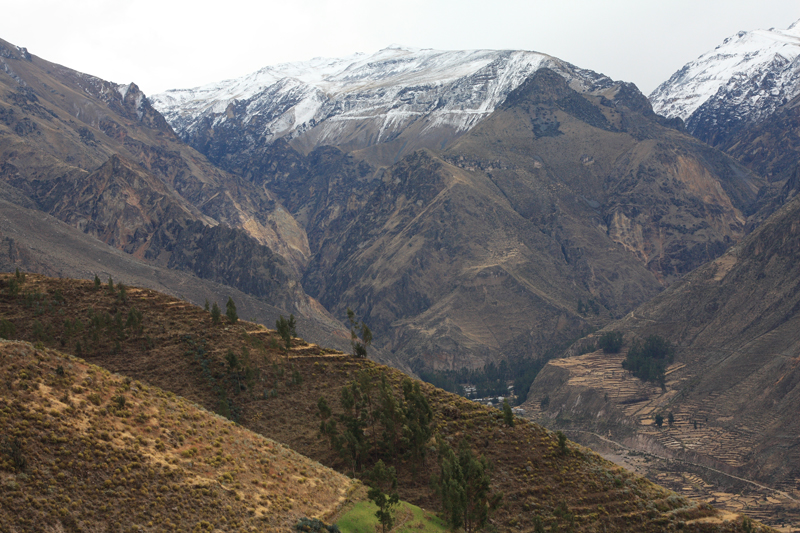 938-Canyon del Colca,15 luglio 2013