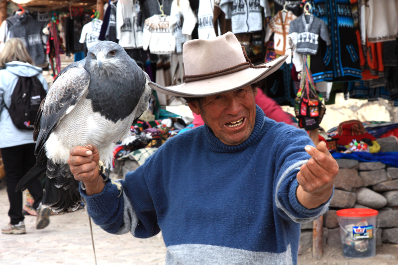 941-Canyon del Colca,Maca,15 luglio 2013